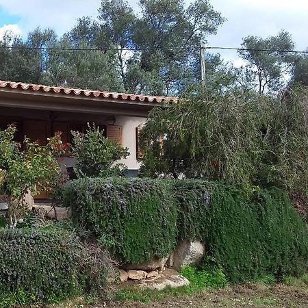 Casa-Lesia Villa Porto-Vecchio  Bagian luar foto